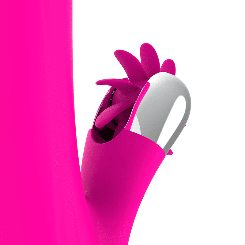 DIVERSIA - BUNNY ROTATION 24 CM - Image 4