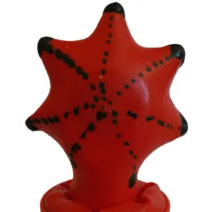 CONDOMERIE - HANDPAINTED NOVELTY CONDOMS STARFISH